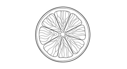 Fresh Citrus Slice Close Up