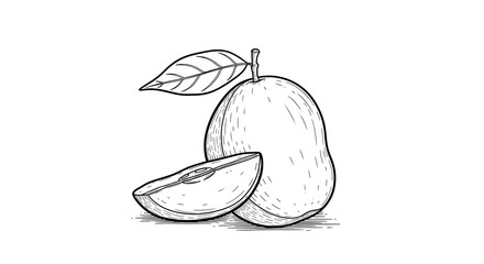 Sketch of Fresh Pear with Slice and Leaf