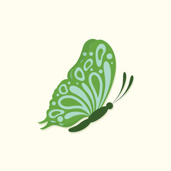 Beautiful green butterfly. Insect vector illustration.