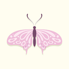 Beautiful pink butterfly. Insect vector illustration.