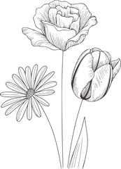 Minimalist black and pen of a daisy peony and tulip bouquet monochrome