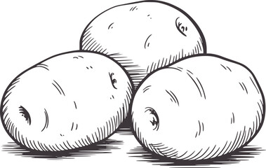 Three hand drawn style potatoes in black and line handdrawn lineart monochrome