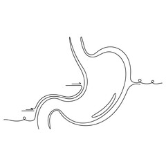 Fototapeta premium Minimalist line art of a human stomach with organic design elements, no editable stroke