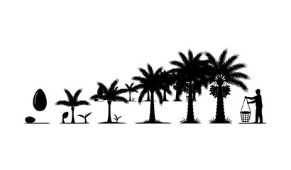 SEO Title
Date Palm Fruit Branch with Whole and Half Dates Isolated on White Background Vector Illustration