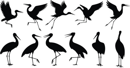 Fototapeta premium Crane bird silhouette set showing flying, landing, and standing poses, elegant long-legged water birds isolated in black vector illustration for wildlife and nature design.