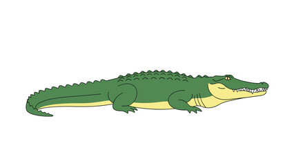 Obraz premium Detailed side view illustration of a large green crocodile with yellow underbelly resting on a white background for nature study.