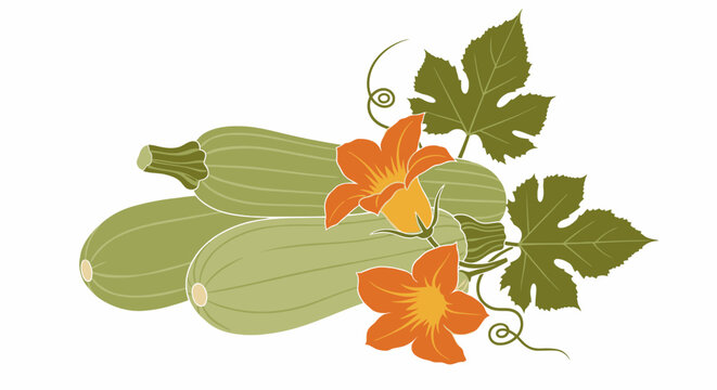 Illustration of green zucchinis with orange flowers.