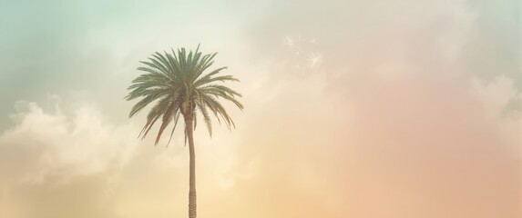 Fototapeta premium A negative color photograph featuring a palm tree in California