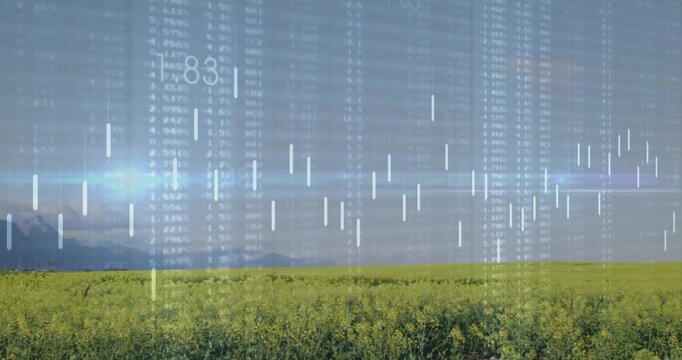 Overlay appearing triggers bars rising and falling over flowering field visualizing crop trends