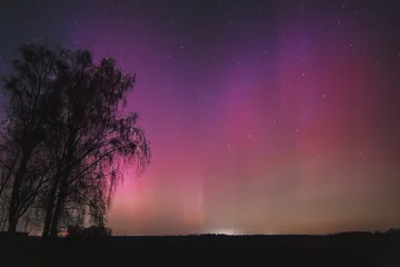 Fotobehang Crimson Violettes Polarlicht mit feinen Lichtstrahlen am Sternenhimmel, Violettes und rosafarbenes Polarlicht mit senkrechten Lichtstrahlen unter klarem Sternenhimmel.   © tanja_riedel