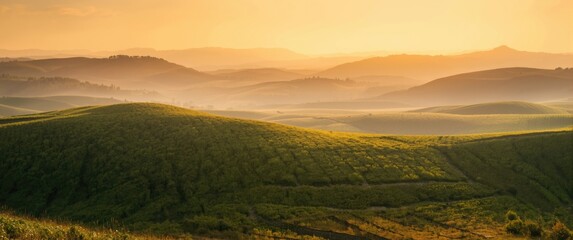 Obraz premium Typical Tuscany landscape background featuring abstract, nature, green grass, and light colors