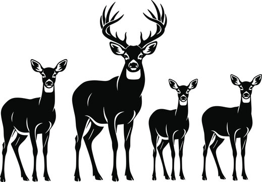 Black silhouette vector illustration set featuring a majestic buck with antlers and three female deer for nature and wildlife conservation design