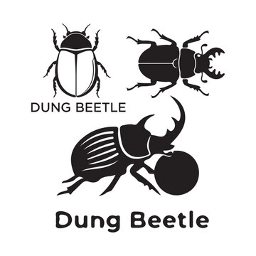 Dung Beetle Insect Vector Illustration Set and Silhouette