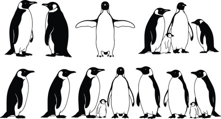 Fototapeta premium Penguin silhouette set showing adult and chick poses, standing family group variations, cute wildlife black and white animal illustration collection