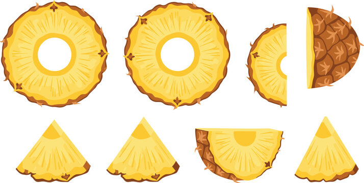 Fresh Pineapple Slices and Wedges Collection with Detailed Texture Tropical Fruit Vector Illustration Set