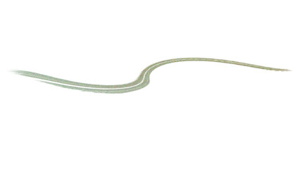 Elegant curved line illustration isolated on transparent background