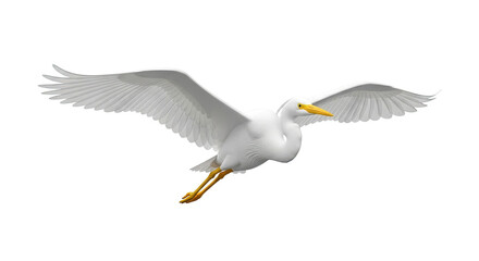 Fototapeta premium White Egret in Flight