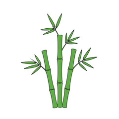 Fototapeta premium Illustration of green bamboo plants isolated on transparent background