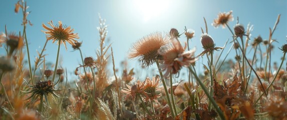 Fototapeta premium Plants with vague silhouettes