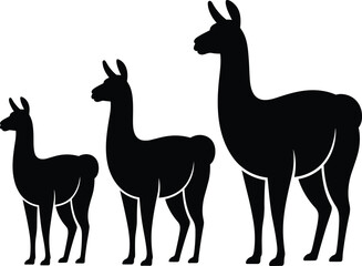 Obraz premium Llama alpaca silhouettes standing in family group farm animals countryside livestock black flat vector illustration isolated set