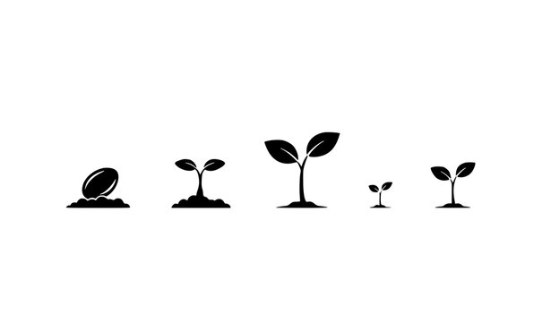 Black plant sprouting from seed silhouette icon symbolizing growth sustainability and ecology