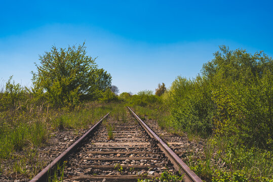 Nature Reclaiming Abandoned Railway Tracks in the Austrian Countryside Under a Bright Blue Sky