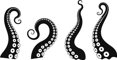 Abstract octopus tentacles set in black and white, minimalist marine vector illustration with curling squid arms, ocean wildlife design isolated on white background © Itz Jisan