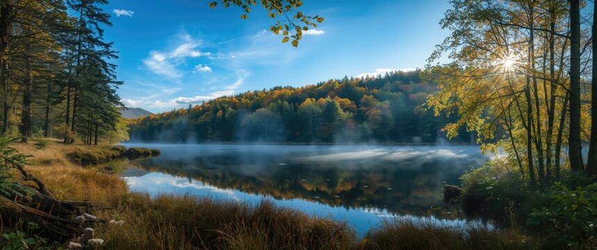 Daytime view of Faskally Forest Pitlochry featuring sky, nature, trees, landscape, autumn foliage, green and orange shades
