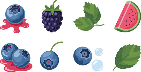 Fresh berry fruit vector set with blueberries blackberry watermelon slice leaves healthy food illustration isolated white background design © MdAhasan