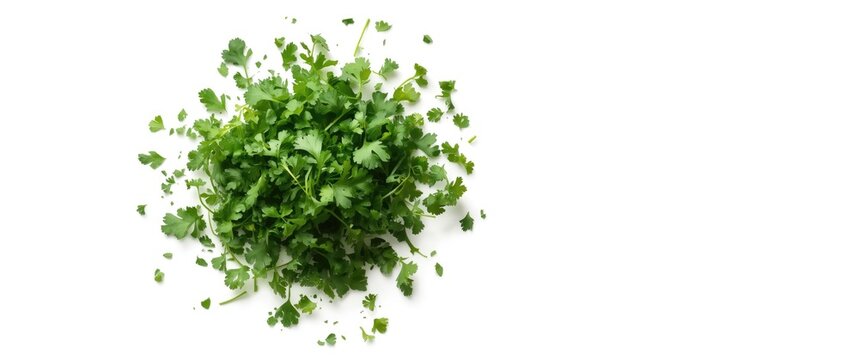 White background with chopped cilantro