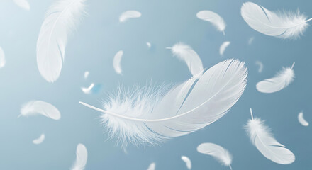 Fototapeta premium Delicate white feathers gently floating in a soft blue sky isolated on a transparent background