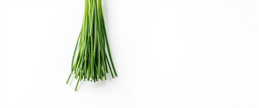 White Background Featuring Fresh Chinese Chives