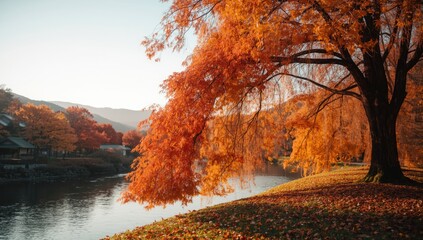 Fallen leaves covering garden ground serving as a backdrop for editorial headers, seasonal change awareness