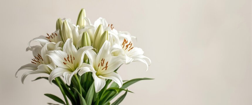 White easter lily flower arrangement isolated against background