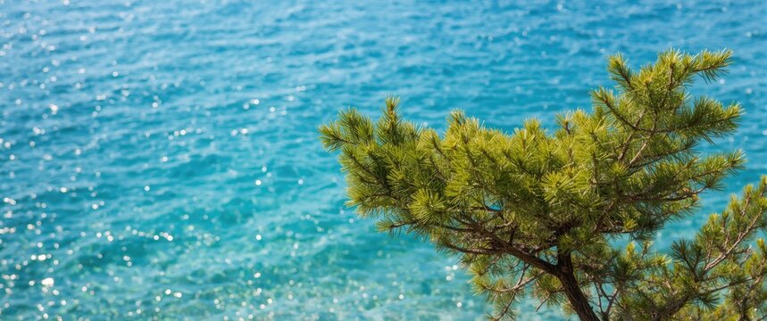 Turquoise sea backdrop with pine tree branches, Mediterranean nature, maritime environment, summer landscape with water and trees