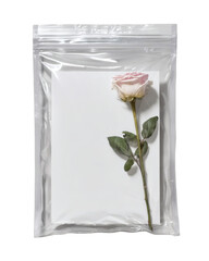 Single rose preserved in vacuum plastic bag isolated on transparent background