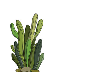 Tall succulent cactuses with thorns on color background. Vector drawing set illustration for icon, game, packaging, banner. Wild west, western, cowboy concept. Copy spase.