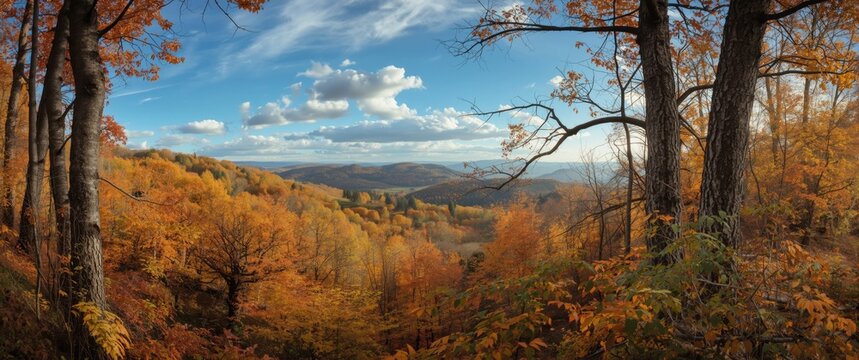 Colorful fall landscape in Sombor, Serbia