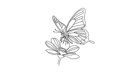 Butterfly on Flower Sketch Illustration. © Shal_Kafa_Alfattah