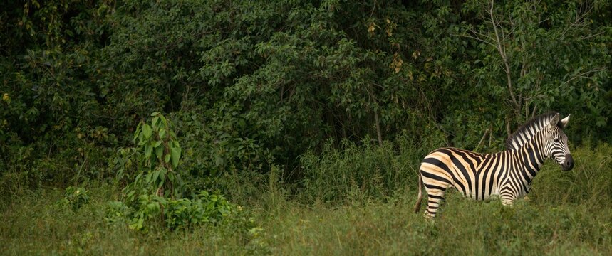 08.24 - Entebbe, Johnston Rd, Uganda