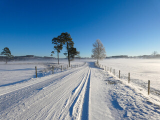 Fototapeta premium Snowy Path, Crisp Winter Morning