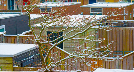 Garden with flagstones, trees and bushes covered in snow in winter, Almere, Flevoland, Netherlands