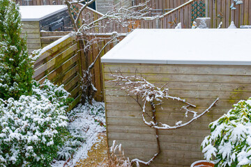 Garden with flagstones, trees and bushes covered in snow in winter, Almere, Flevoland, Netherlands
