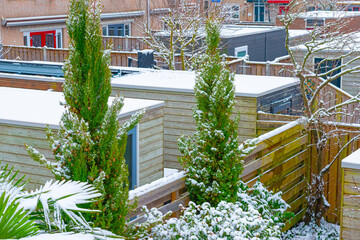 Garden with flagstones, trees and bushes covered in snow in winter, Almere, Flevoland, Netherlands