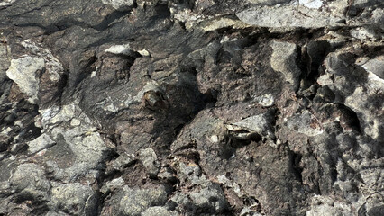 背景にも使える岩の表面の素材１４