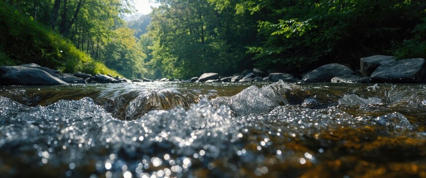 Close-up of water cascading over smooth rocks in a transparent stream, sunlight creating sparkling reflections