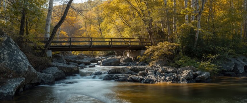Autumnal Vizzavona forest scene with L'Agnone river cascading under a wooden bridge in Corsica
