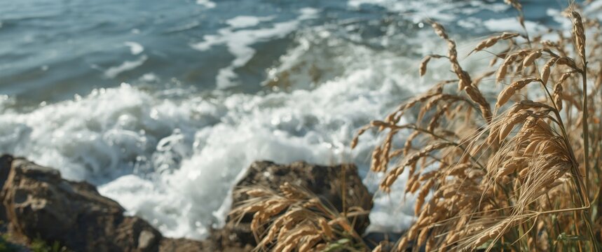 Soybeans gli in focus against an outdoor backdrop with white water waves hitting rocks, reflecting the tranquil beauty of the natural surroundings