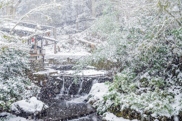 京都 貴船川の雪景色