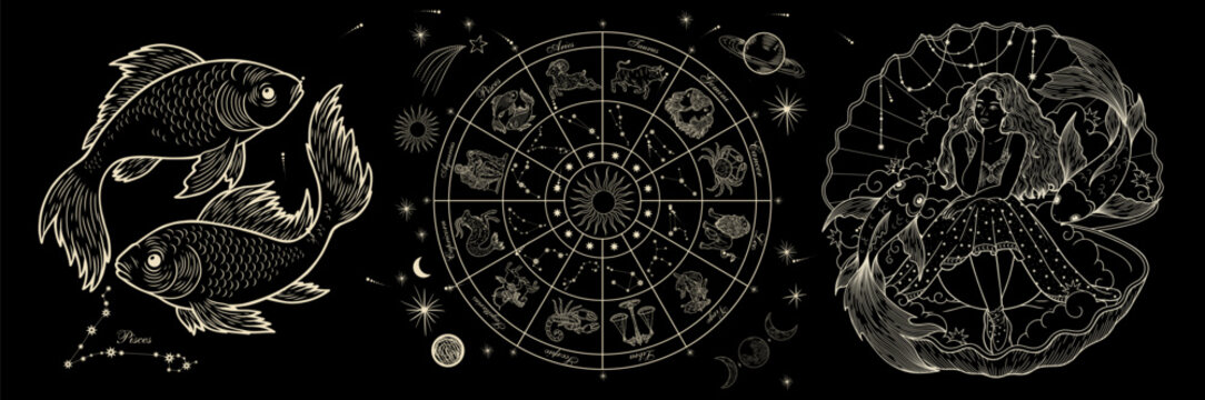 Vector illustration of zodiac signs in a synthage linear retro engraving style with baroque elements. Astrology and tarot	